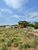 Fazenda, 6 hectares - Foto 3