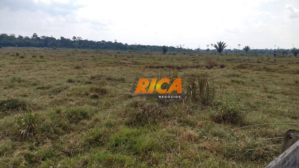 Fazenda, 4000 hectares - Foto 3