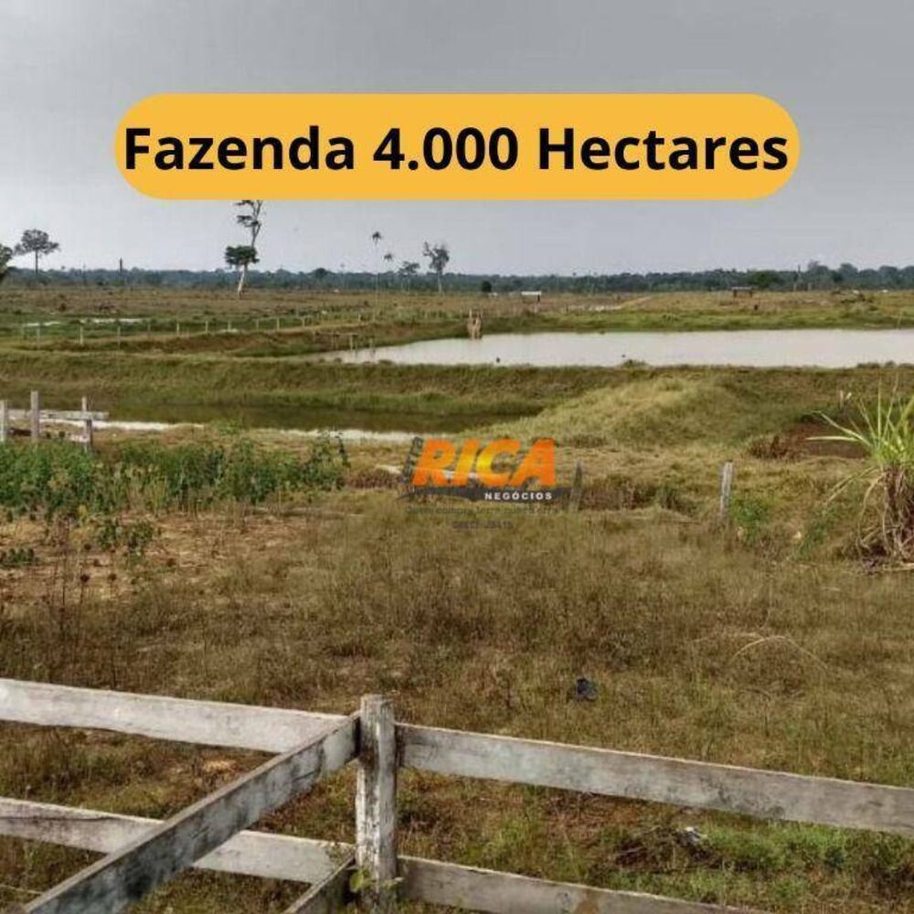 Fazenda, 4000 hectares - Foto 1