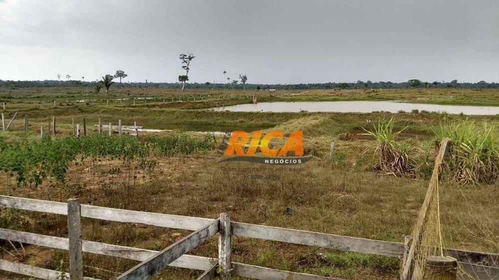 Fazenda, 4000 hectares - Foto 4