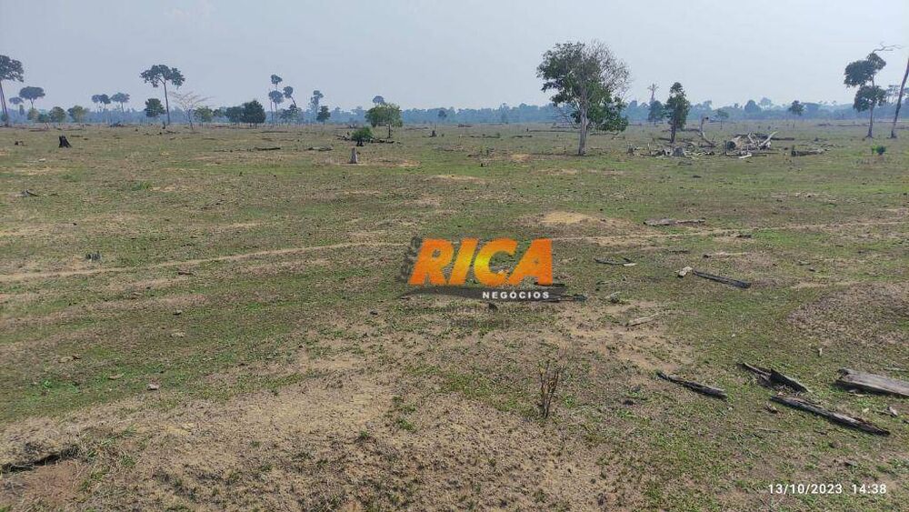 Fazenda-Sítio-Chácara, 644 hectares - Foto 6