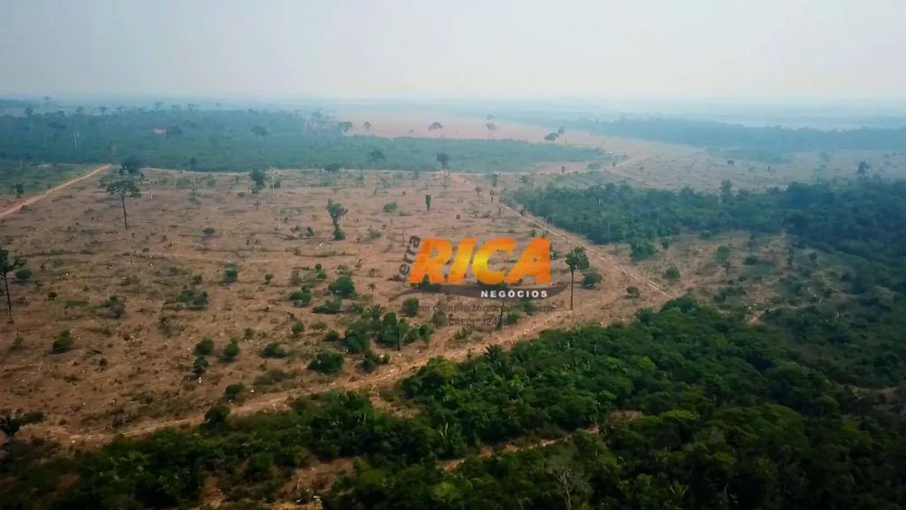 Fazenda, 644 hectares - Foto 15