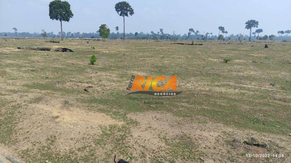 Fazenda-Sítio-Chácara, 644 hectares - Foto 7