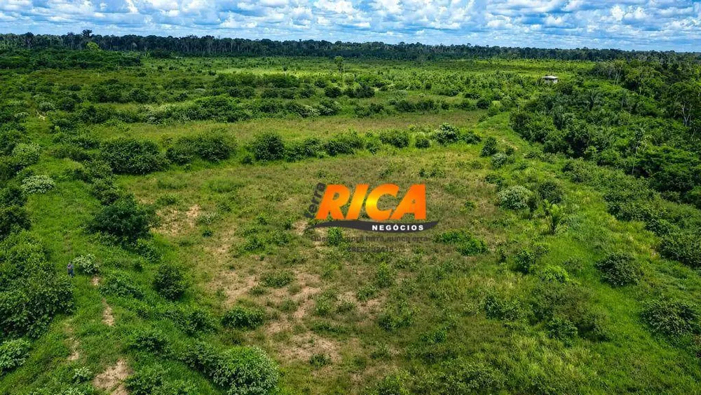 Fazenda, 160 hectares - Foto 10
