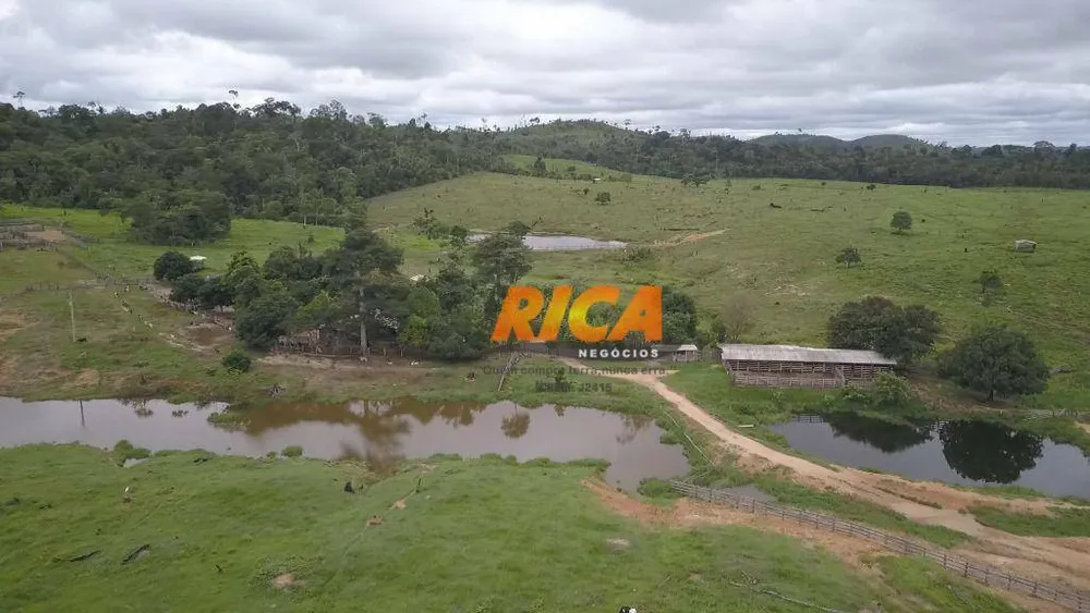 Fazenda, 410 hectares - Foto 4