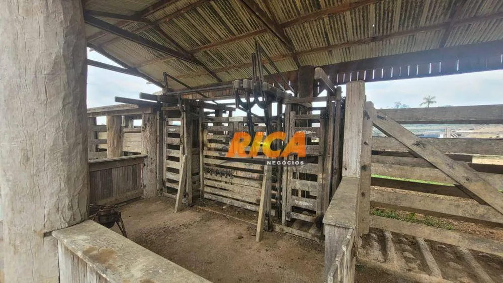 Fazenda, 410 hectares - Foto 8