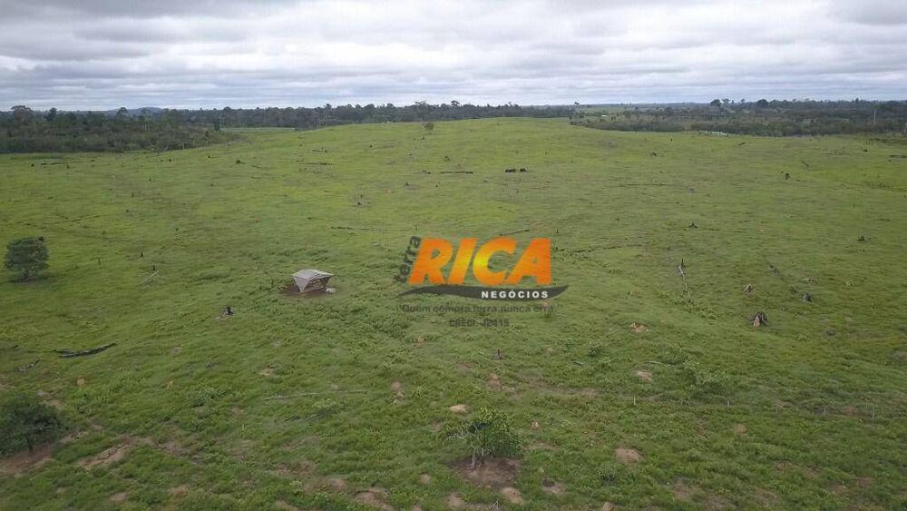 Fazenda, 410 hectares - Foto 3