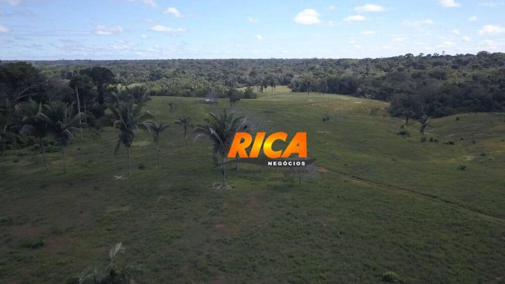 Fazenda à venda com 2 quartos, 2000000M2 - Foto 8