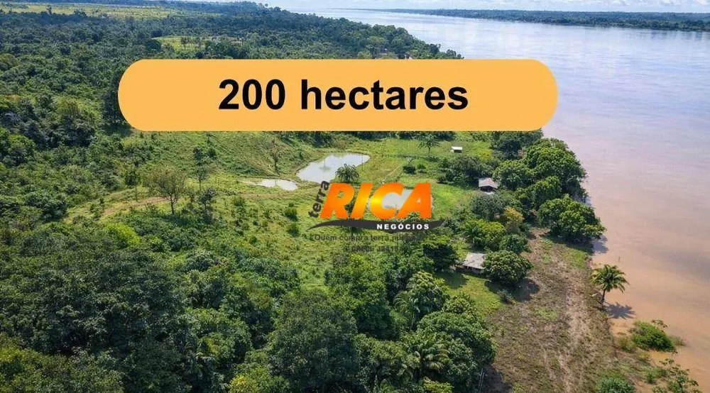 Fazenda, 200 hectares - Foto 2