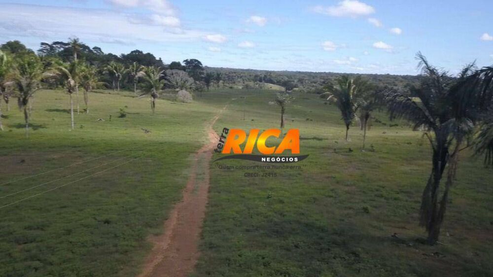 Fazenda à venda com 2 quartos, 2000000M2 - Foto 14