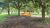 Fazenda, 200 hectares - Foto 13