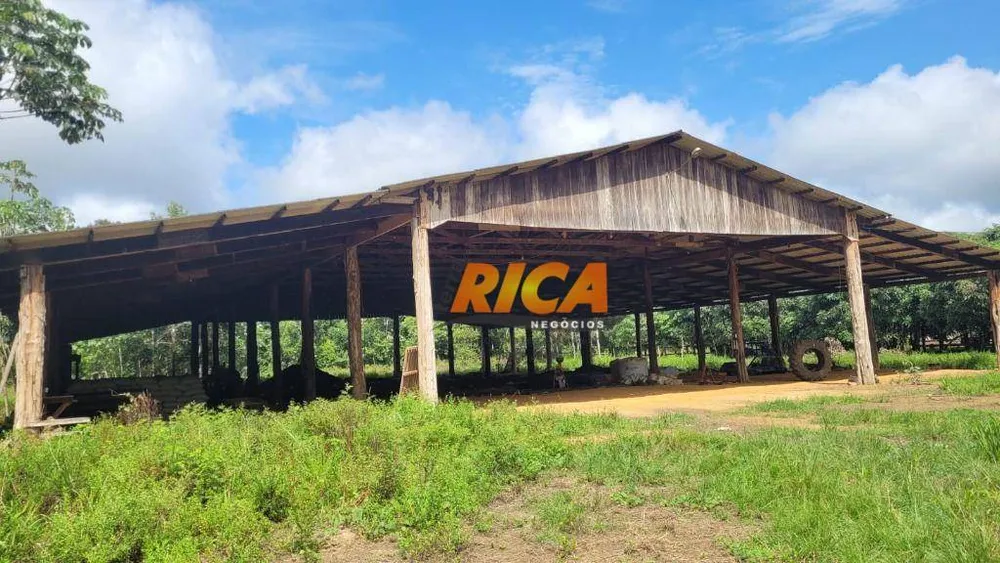 Fazenda, 2280 hectares - Foto 7