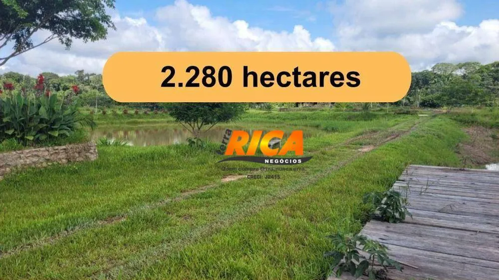 Fazenda, 2280 hectares - Foto 2