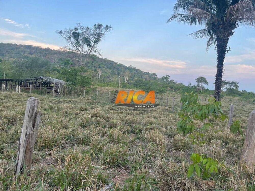 Chácara, 3 hectares - Foto 4