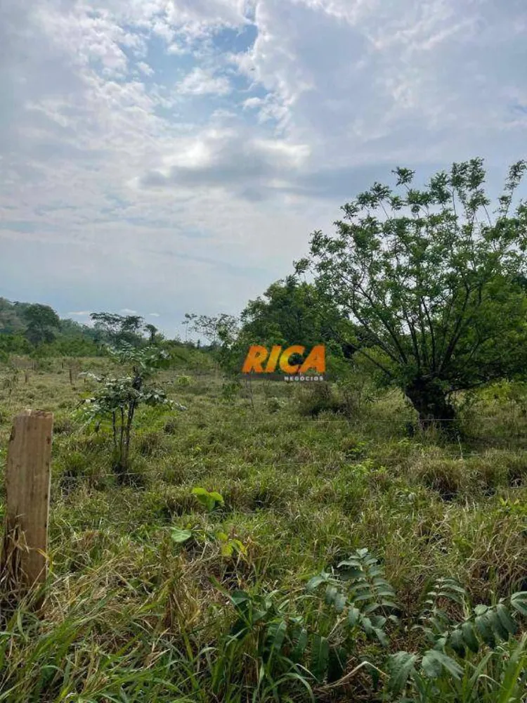 Chácara, 3 hectares - Foto 1