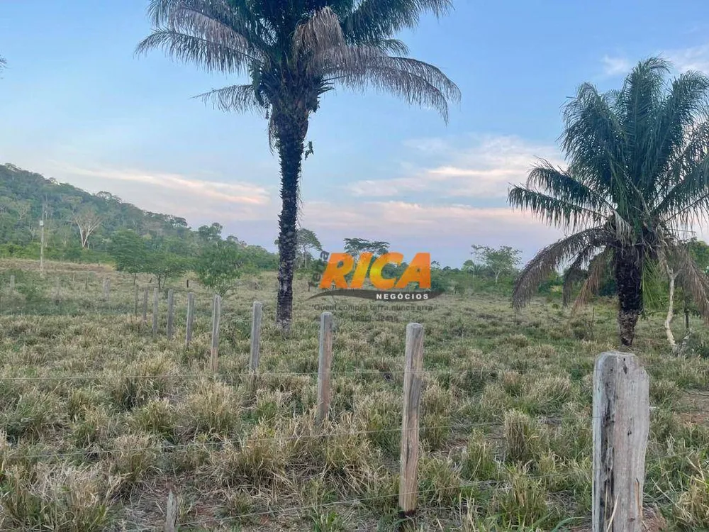 Chácara, 3 hectares - Foto 3