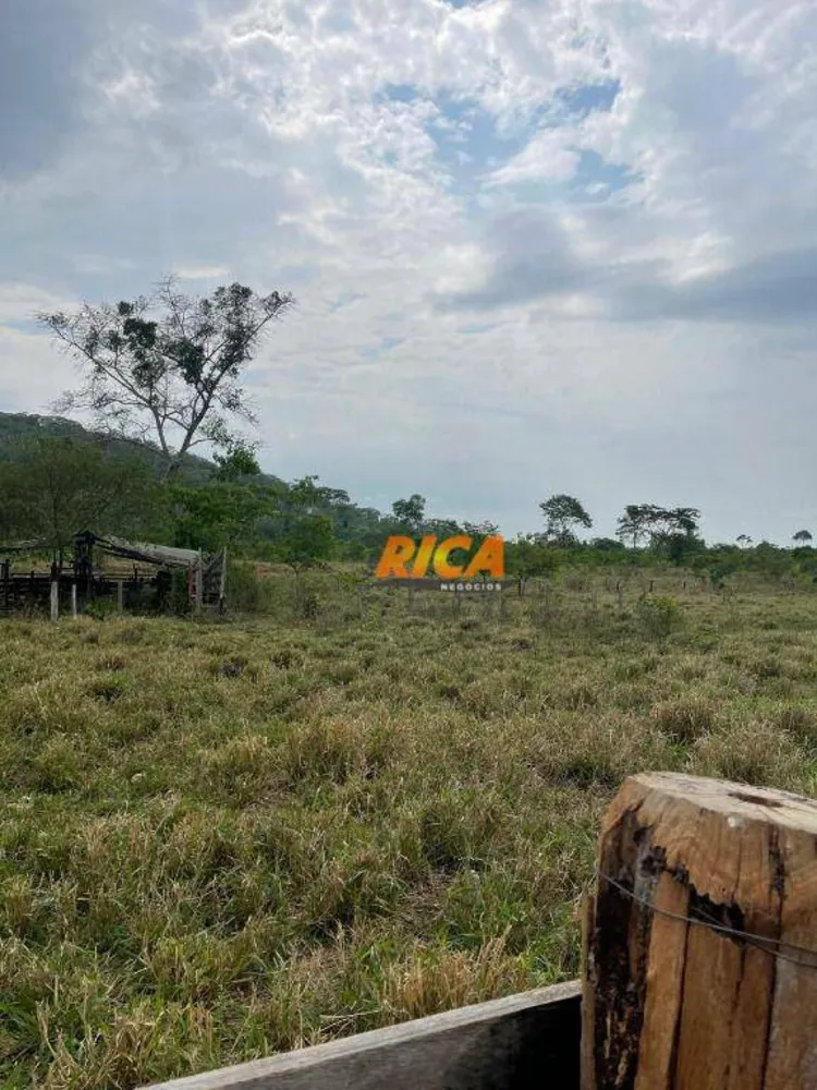 Chácara, 3 hectares - Foto 11