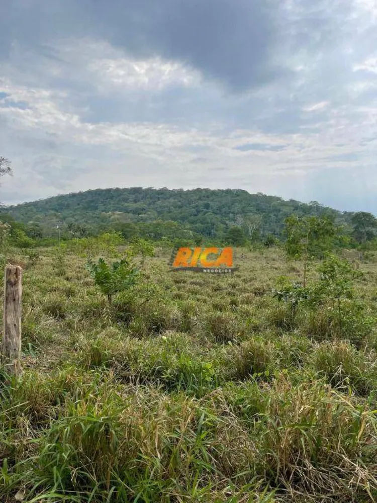 Chácara, 3 hectares - Foto 7