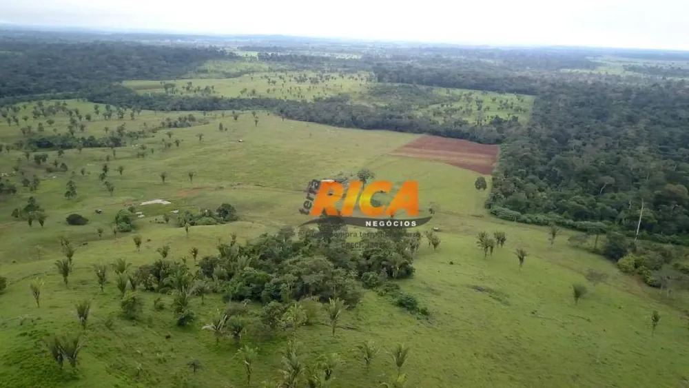 Fazenda, 798 hectares - Foto 3