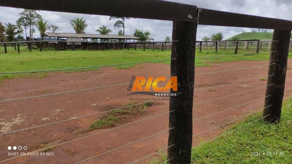 Fazenda, 798 hectares - Foto 11