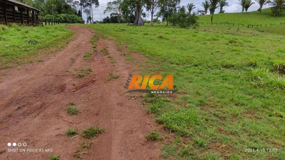 Fazenda, 798 hectares - Foto 12