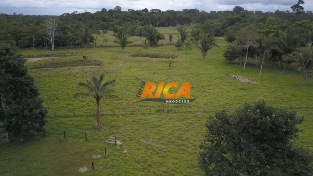 Chácara à venda com 1 quarto, 95000M2 - Foto 6