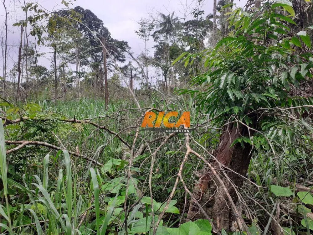Fazenda, 500 hectares - Foto 4