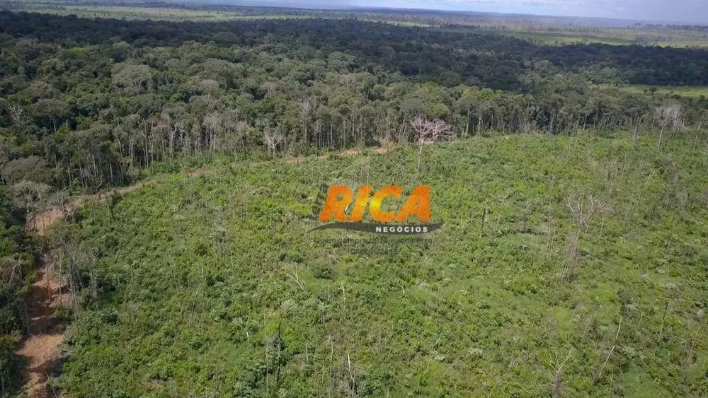 Fazenda, 360 hectares - Foto 10