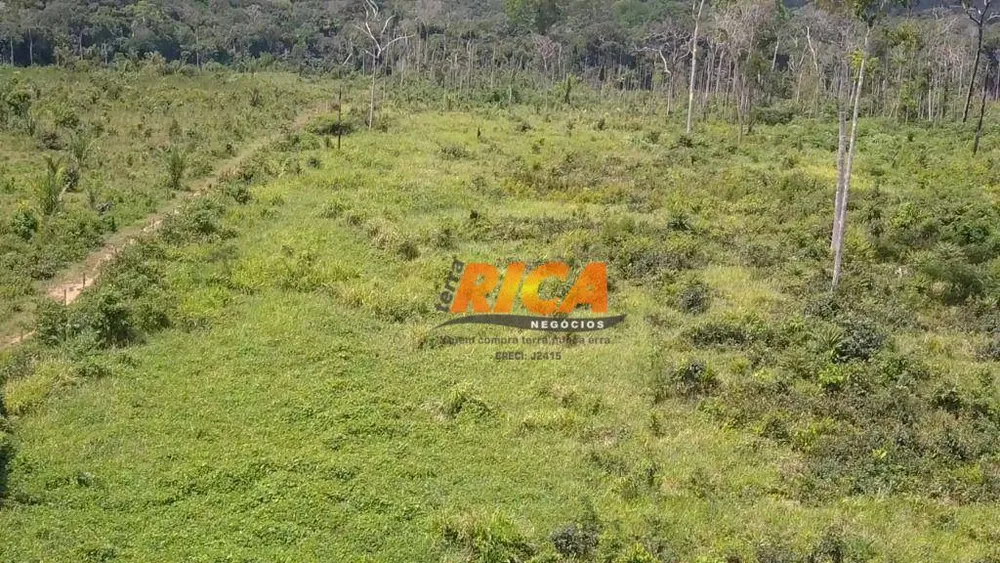 Fazenda, 360 hectares - Foto 7