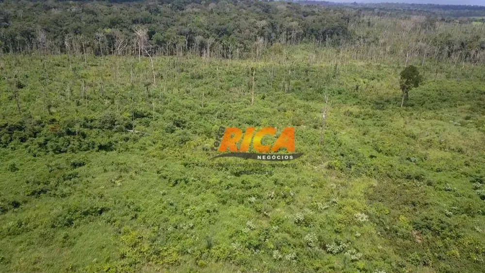 Fazenda, 360 hectares - Foto 6