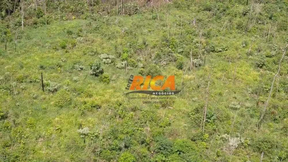 Fazenda, 360 hectares - Foto 9