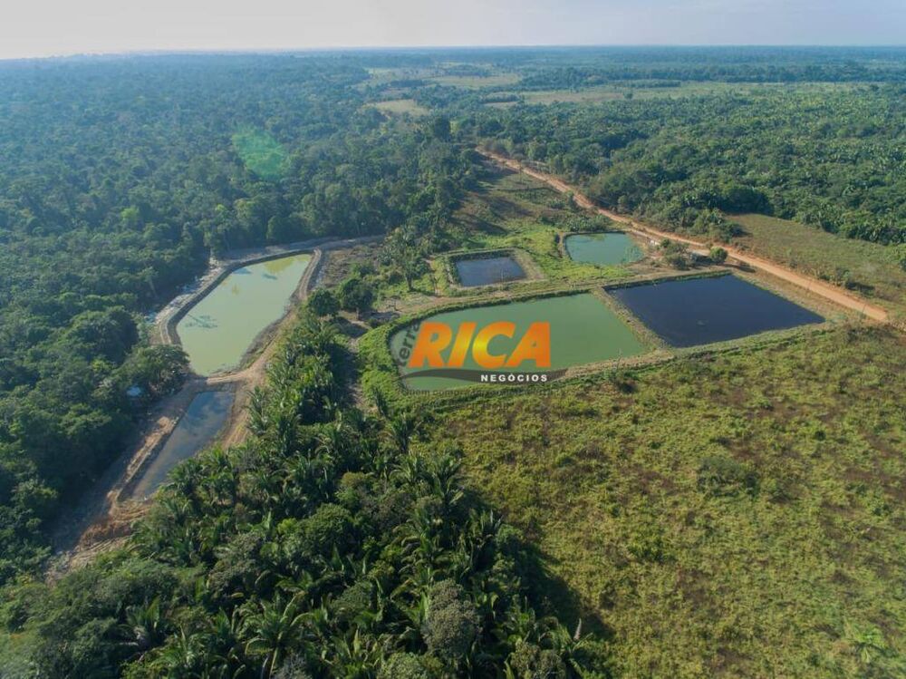 Sítio, 42 hectares - Foto 3