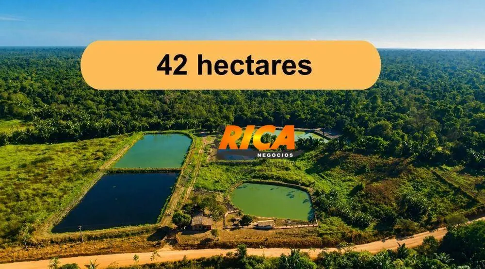 Sítio, 42 hectares - Foto 2