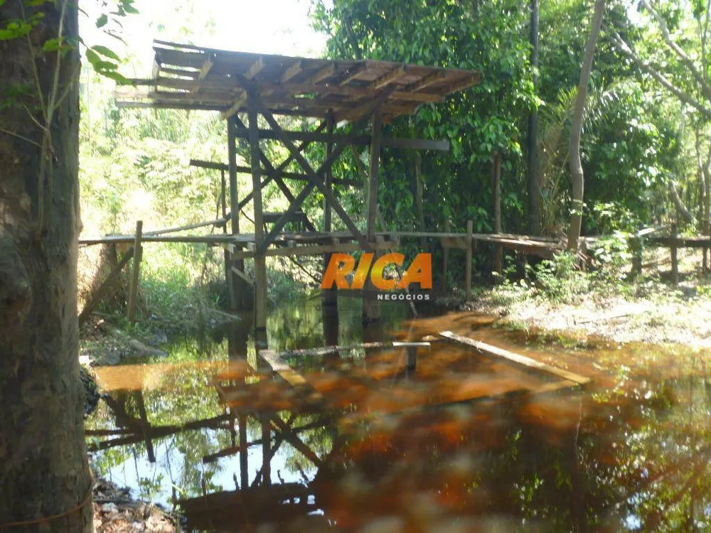 Sítio, 42 hectares - Foto 11