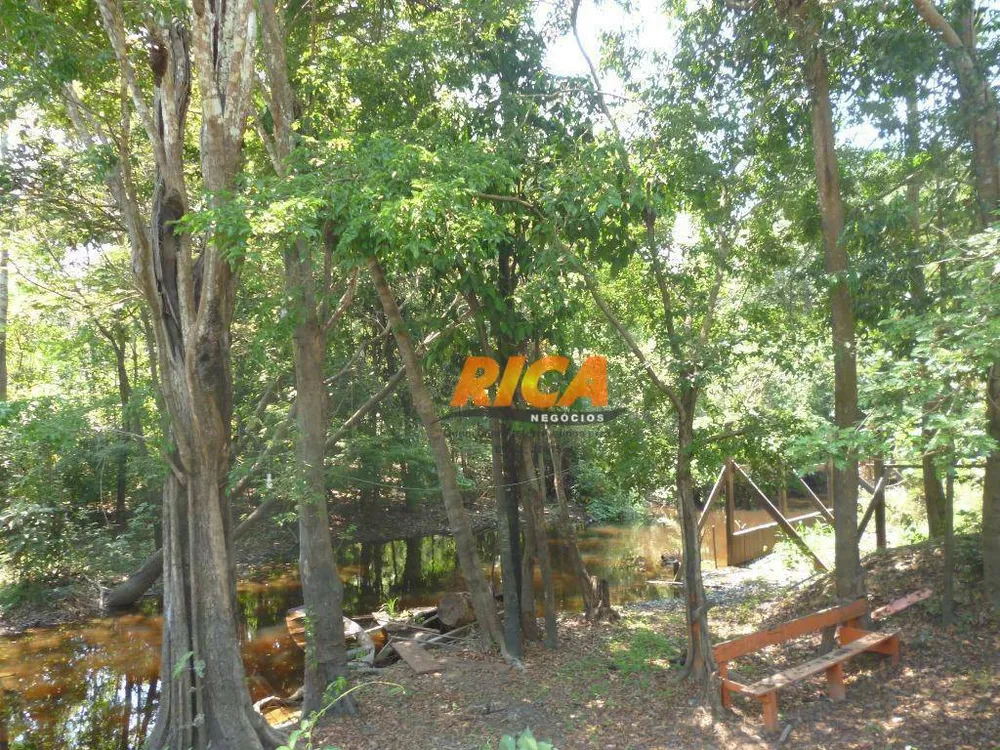 Sítio, 42 hectares - Foto 10