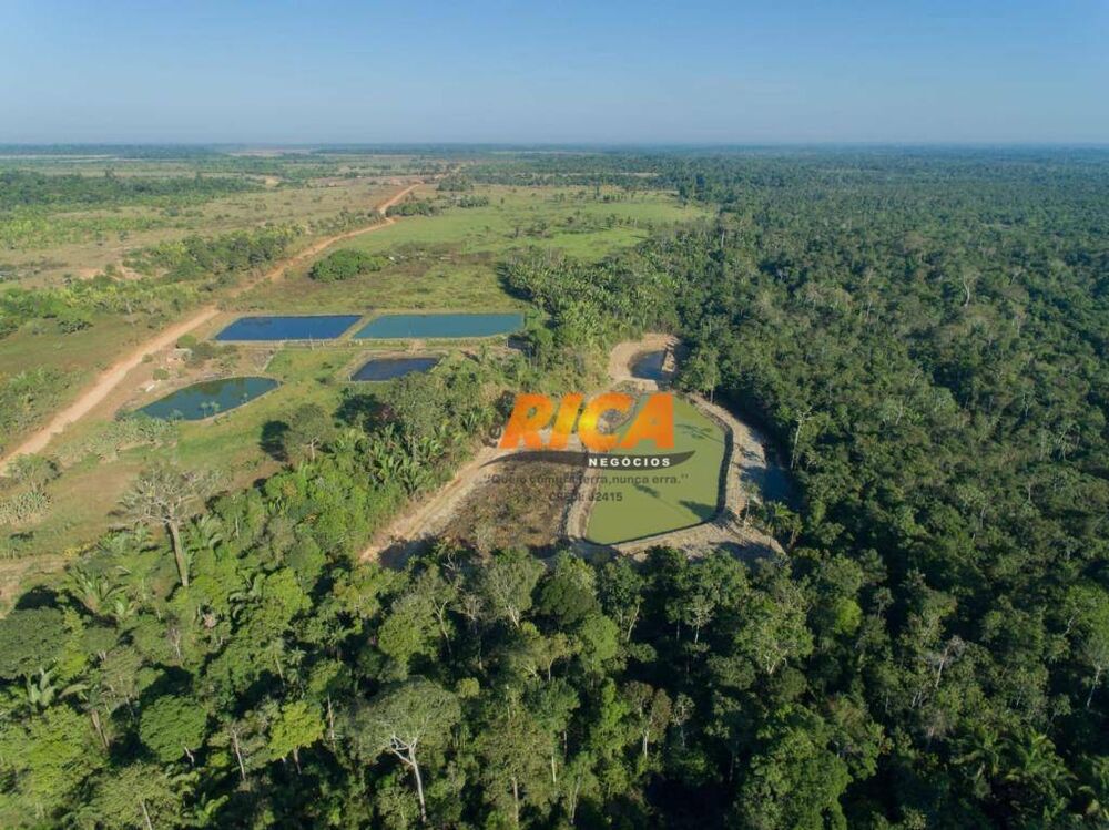 Sítio, 42 hectares - Foto 4