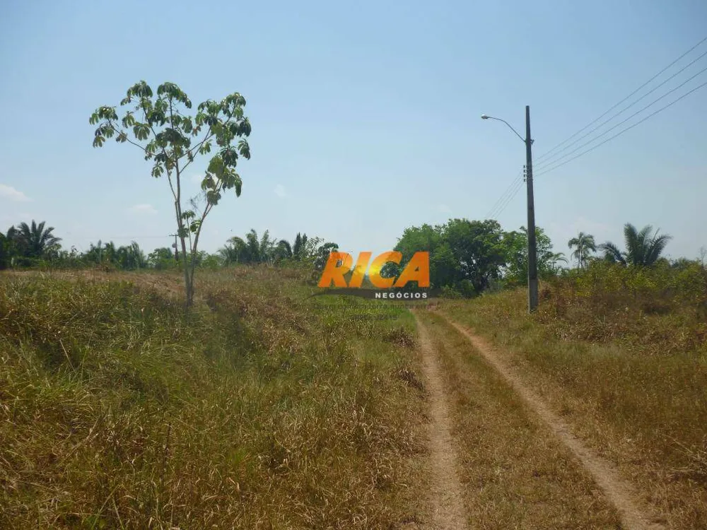 Sítio, 42 hectares - Foto 15