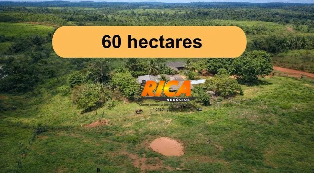Sítio, 2 quartos, 60 hectares - Foto 1