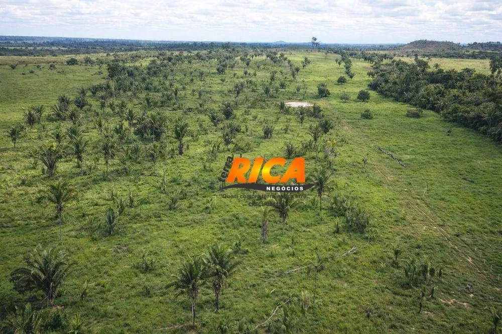 Sítio, 2 quartos, 60 hectares - Foto 4