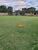 Terreno, 4 hectares - Foto 3