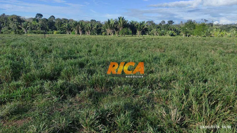 Fazenda, 200 hectares - Foto 6