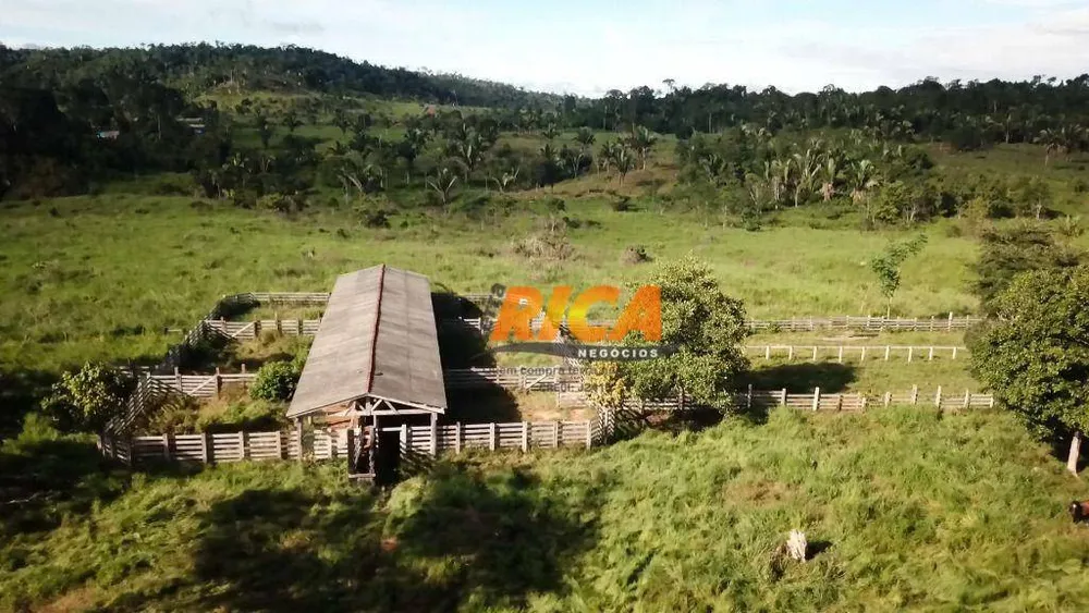 Fazenda, 200 hectares - Foto 1