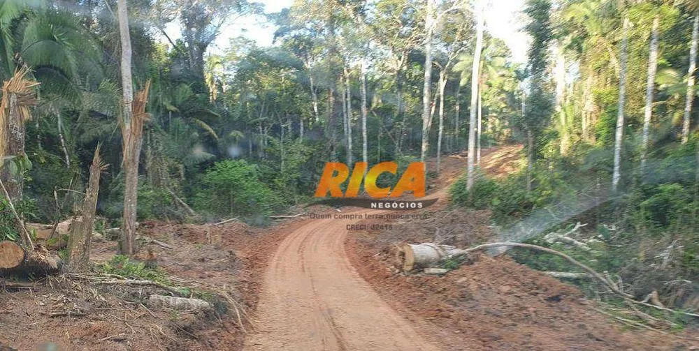 Fazenda, 21326 hectares - Foto 6