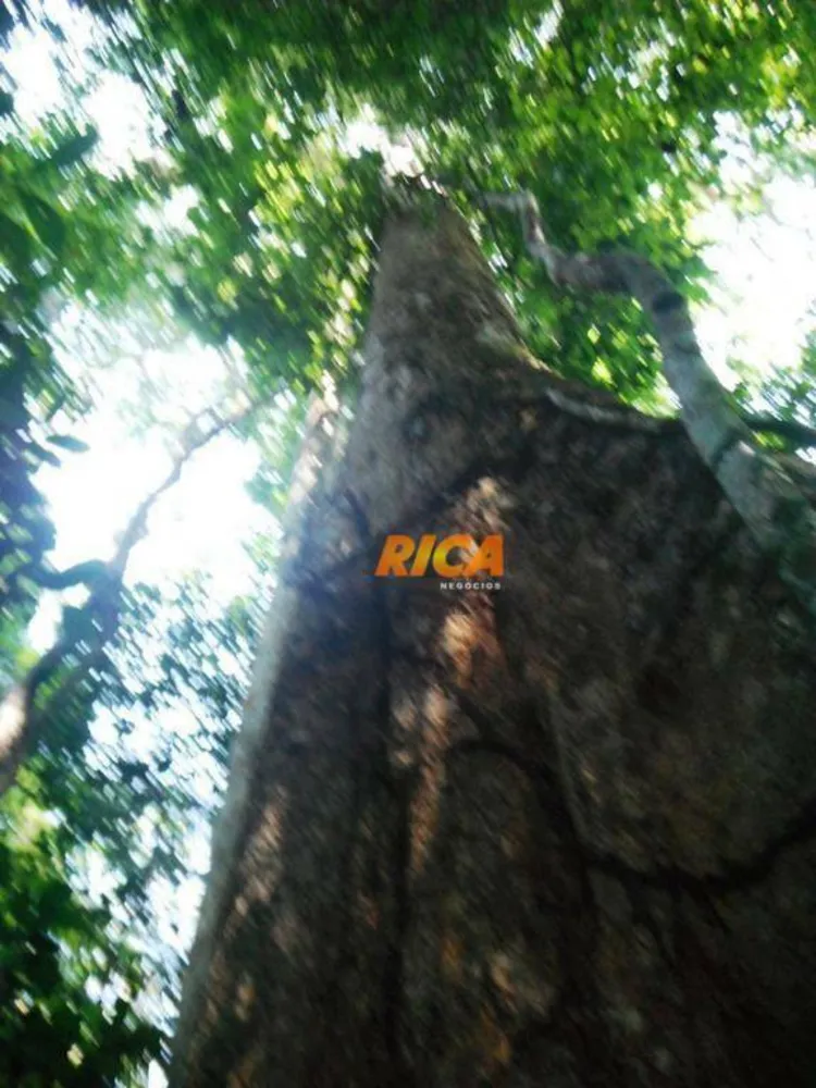Fazenda, 21326 hectares - Foto 7