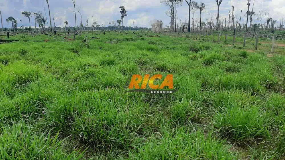 Fazenda, 107 hectares - Foto 14