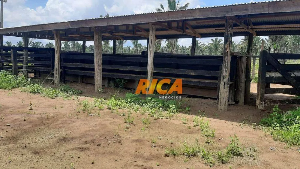 Fazenda, 107 hectares - Foto 12