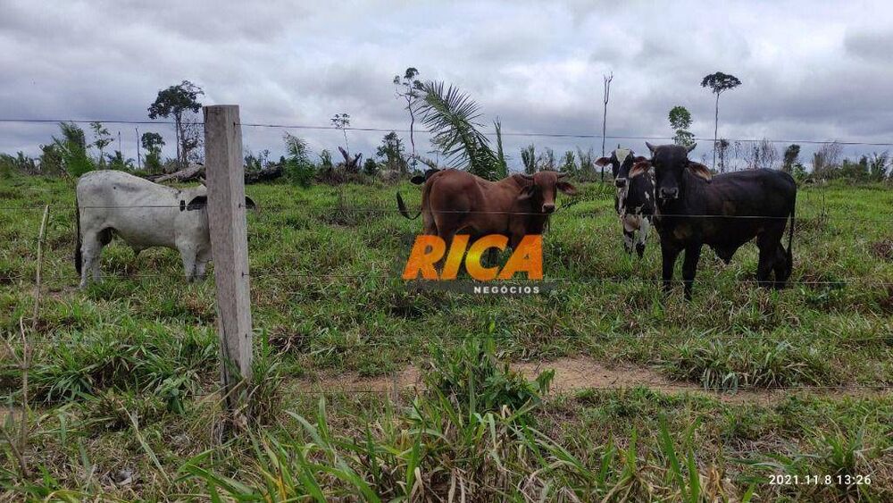 Fazenda, 107 hectares - Foto 2