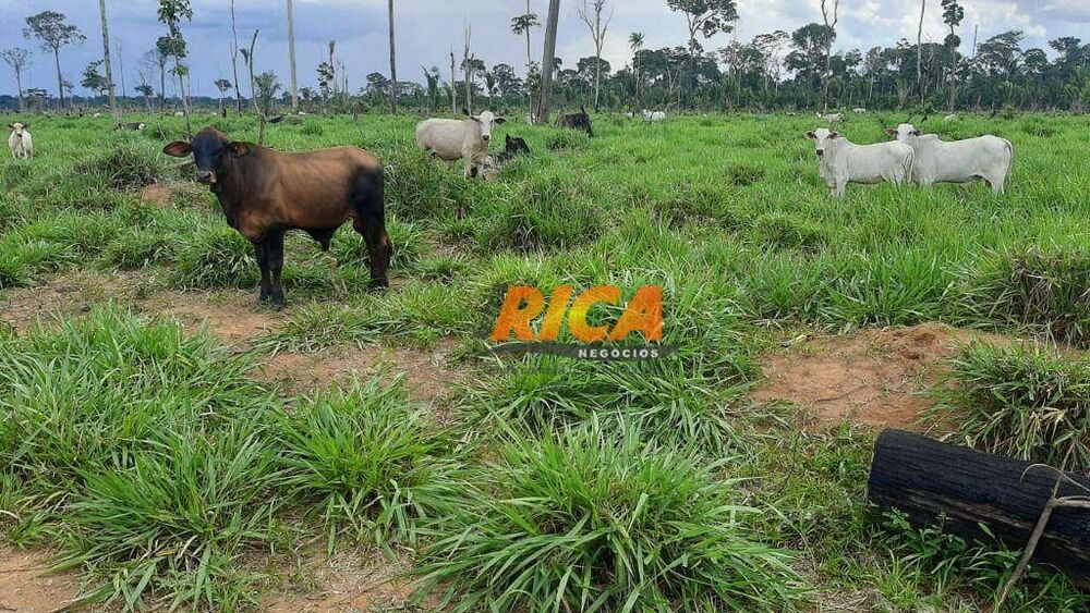 Fazenda, 107 hectares - Foto 3