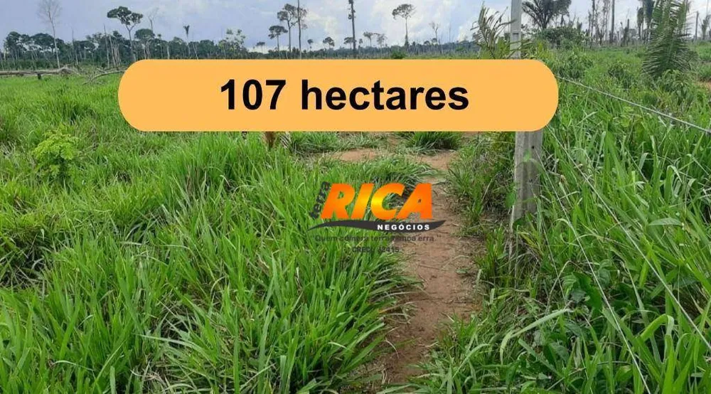 Fazenda, 107 hectares - Foto 2