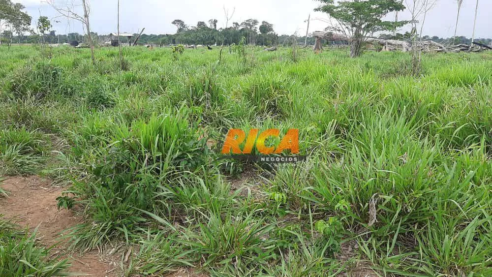 Fazenda, 107 hectares - Foto 15